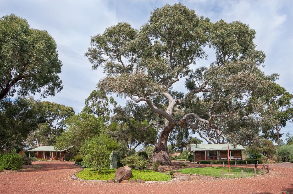 Southern Grampians Cottages Dunkeld Exterior photo